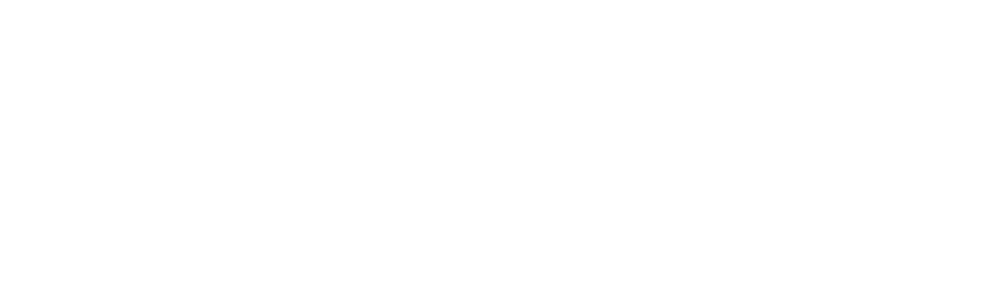 Vigilanza Group